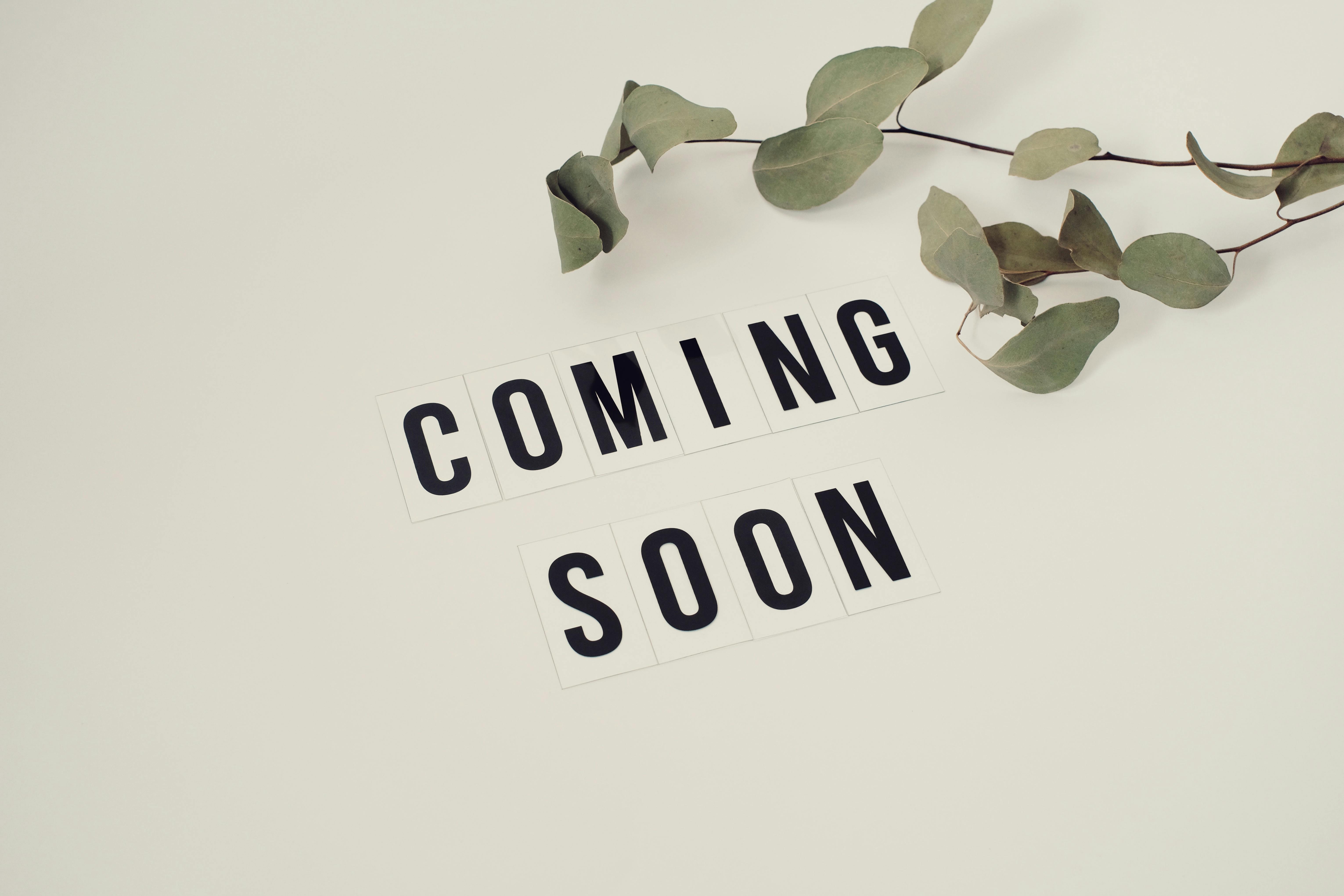 A photograph looking down on the words “COMING SOON”, in block lettering, with a grey-green eucalyptus branch.