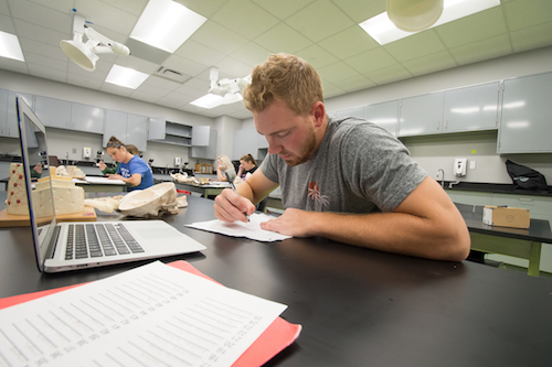 An engineering student working on his own at his desk