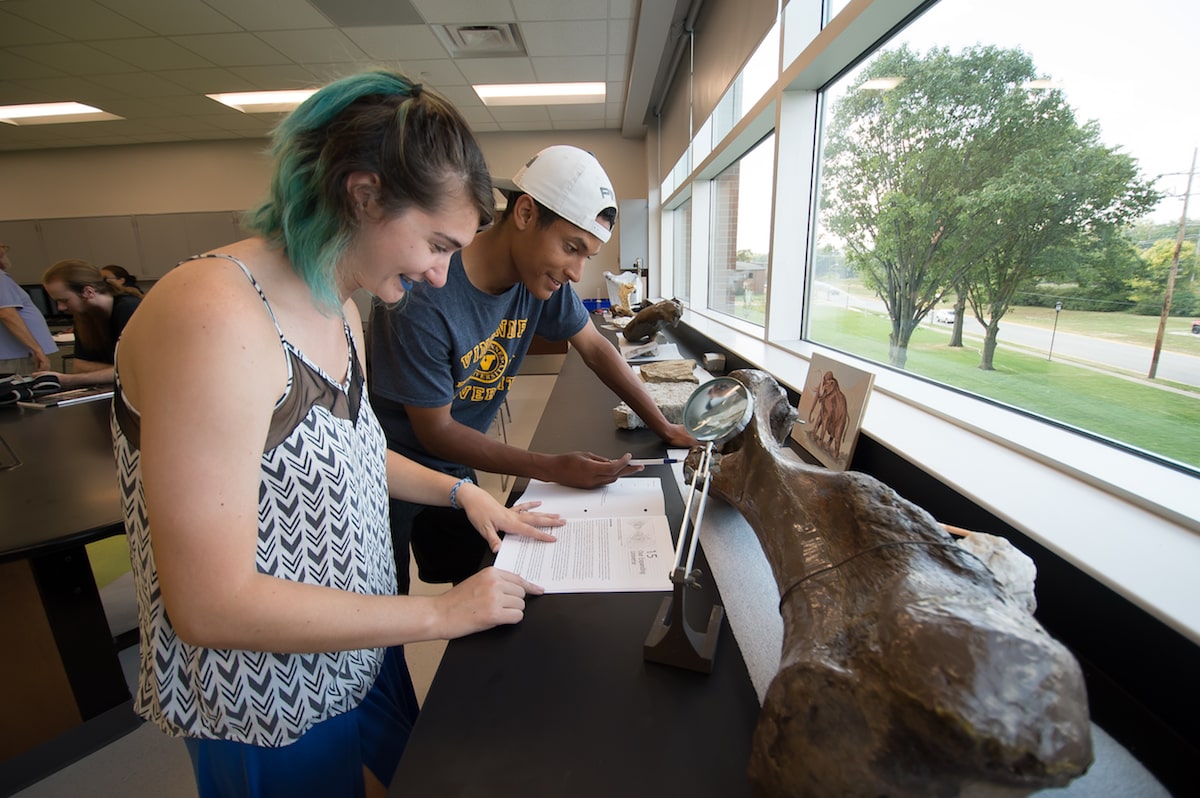 Geoscience students examining a large bone