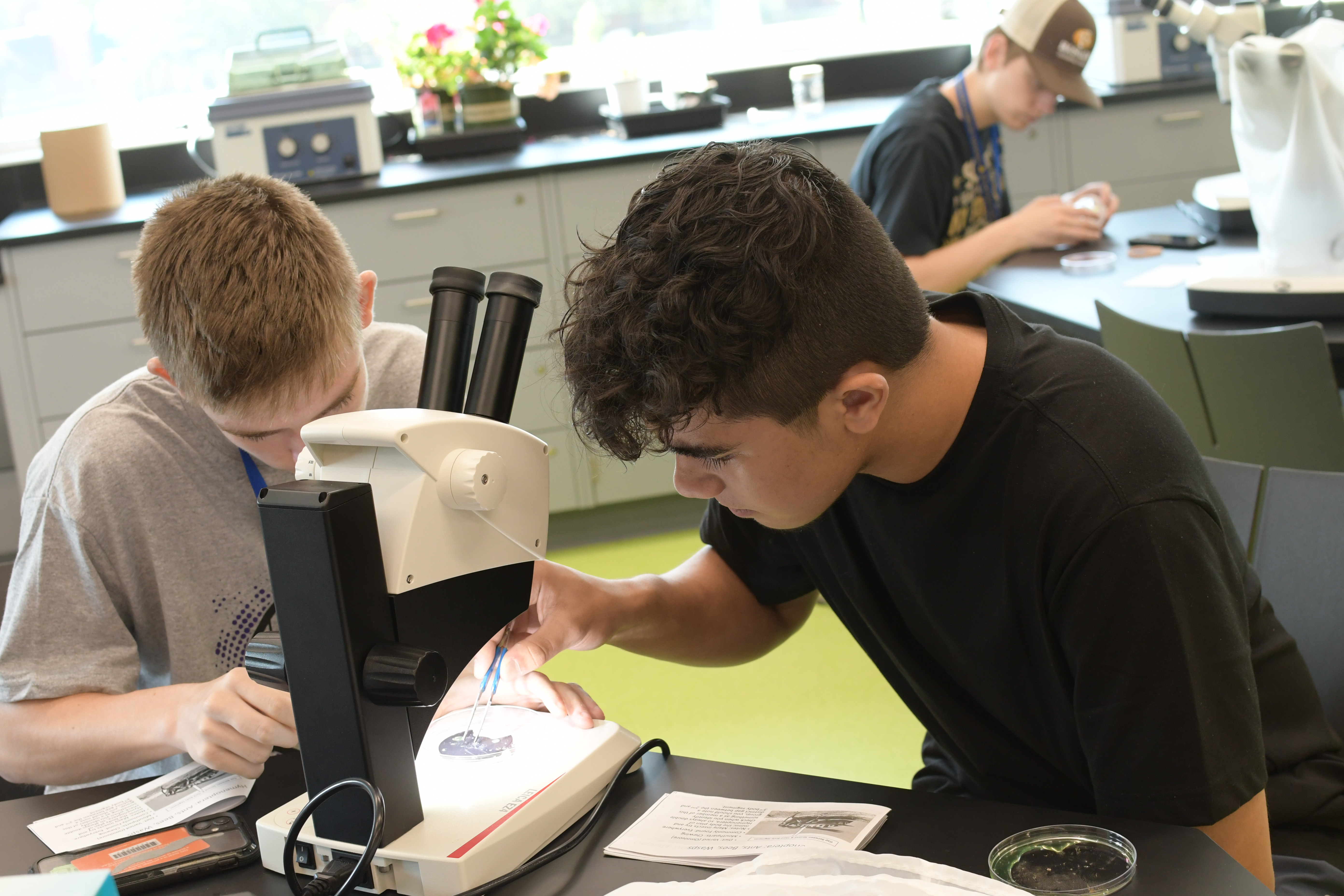 Two young students working on a project, one looks through a microscope.