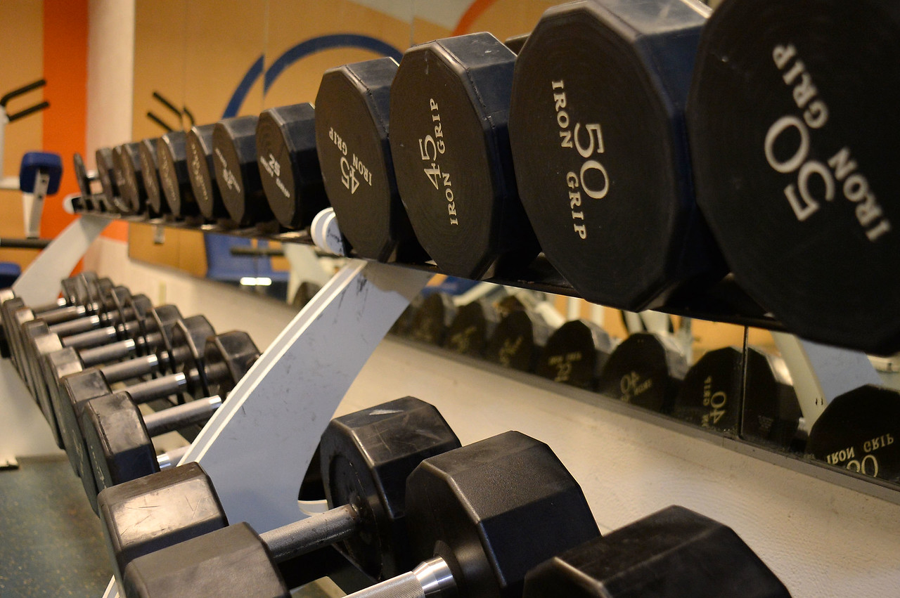 A variety of dumbbells on shelves