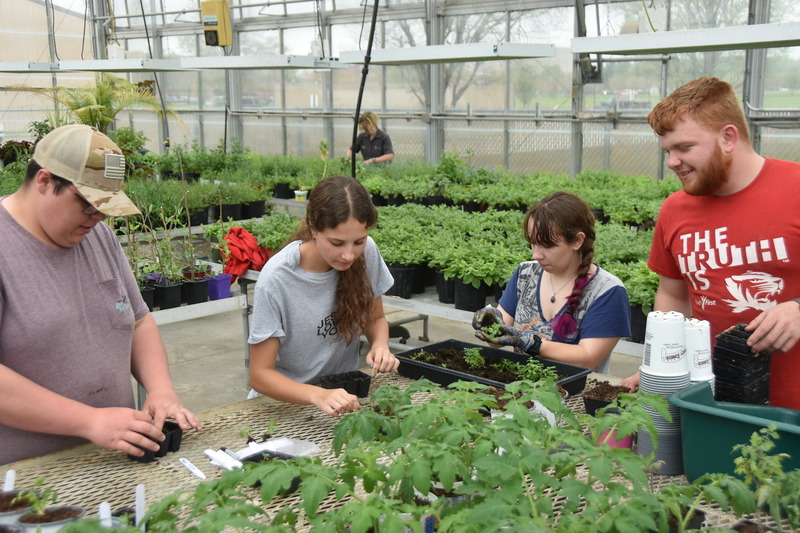 ag-business-nursery